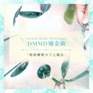 Access DMMD Certification Course (Access 煉金術)